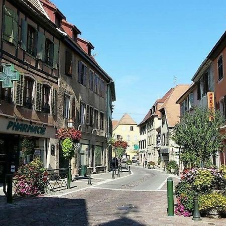 Studio L'Epicea Climatisation Sejour Parfait Soultz-Haut-Rhin Exterior foto