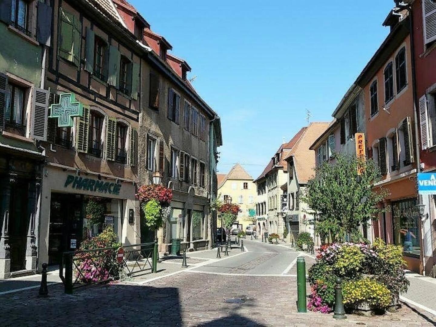 Studio L'Epicea Climatisation Sejour Parfait Soultz-Haut-Rhin Exterior foto